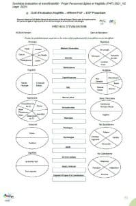 synthèse évaluation repérage de la fragilité