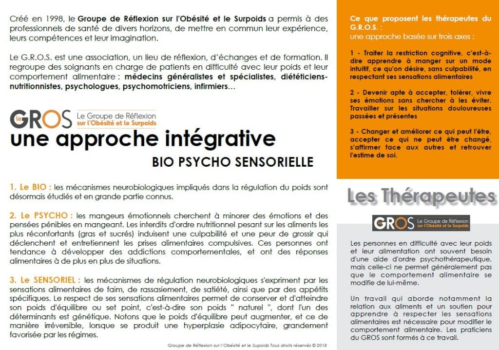 brochure présentation du GROS verso