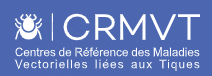 logo crmvt